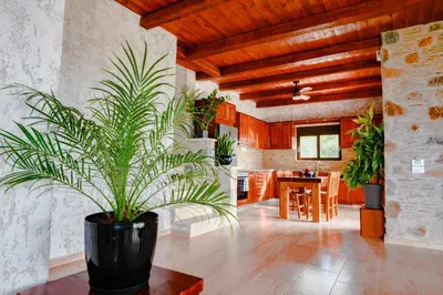 a large potted plant in a room with a kitchen at VILLA DEMETRA in Kissamos