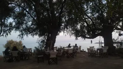 a group of people sitting at tables under a tree at Georgoshouse Lykos beach Sfakia in Livanianá