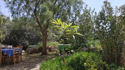 a garden with a table and chairs and a tree at Georgoshouse Lykos beach Sfakia in Livanianá