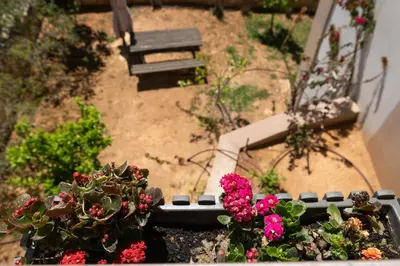 a view of a garden with flowers and a bench at Luxury Apartment in Halepa in Chania Town