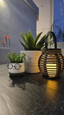 a basket and a basket with glasses next to a potted plant at Fanouris Luxury Apartments 2 in Chania Town