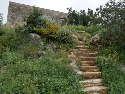 a set of stone stairs in a field of flowers at Tsikalaria Traditional Stone House in Tsikalariá
