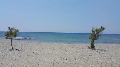 two trees on a sandy beach near the ocean at Studios Stavris in Frangokastello