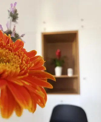 a close up of a orange flower in front of a mirror at Anna's Apartment in Kato Daratso