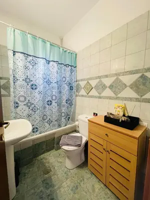 a bathroom with a toilet and a sink at Selini Seaview Villa in Kissamos