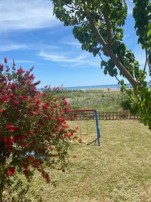 a swing in a field with red flowers at Artemis Hotel-MeRaki Restaurant in Frangokastello