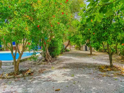 a row of trees with red apples on them at Lemon Tree Villa with Private Pool and Starlink Internet in Frés
