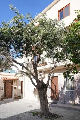 a tree in front of a building at The Suite Spot - At The Heart Of The Old Town in Chania Town