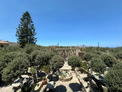 an overhead view of a garden with trees and bushes at Koumos in Kalyves