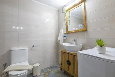 a bathroom with a sink and a toilet and a mirror at Pomogna house in Pemónia