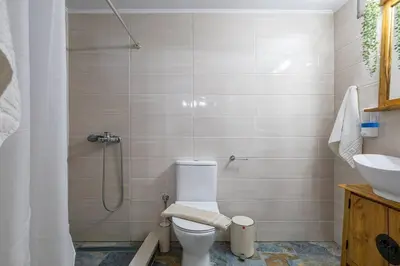 a bathroom with a shower and a toilet and a sink at Pomogna house in Pemónia