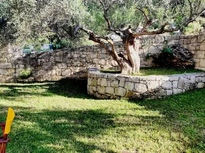 a tree in front of a stone wall at VILLA IRIS in Vryses