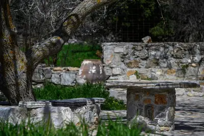 a stone bench sitting next to a tree at Nomas Home Imbros in Khóra Sfakíon