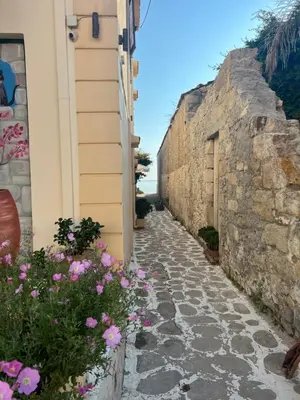 an alley with flowers on the side of a building at Kerdos Home in Kalyves