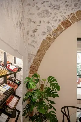 a plant in a room with a stone wall at Faedra Residence in Chania Town