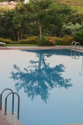 a swimming pool with a reflection of a tree in the water at kera apartments in Kalyves