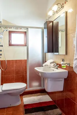 a bathroom with a sink and a toilet and a shower at Ktima Edem in Ramní