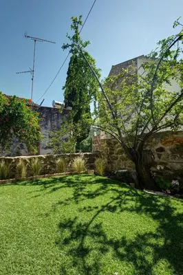 a green yard with a tree and a building at Apartments Panethimos in Panéthimos