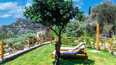 a bench sitting in the grass next to a tree at Place of the Gοds in Palaiochóra