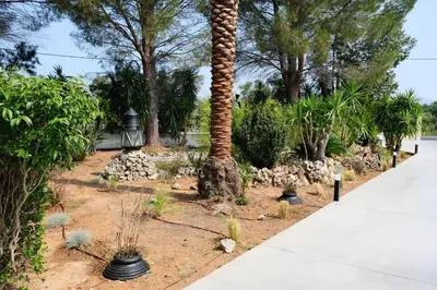 a palm tree in a garden next to a sidewalk at GREEN ESTATE villas in Arménoi