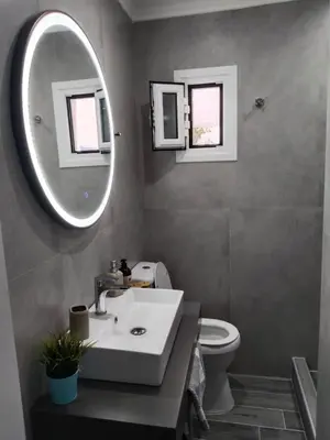 a bathroom with a sink and a mirror and a toilet at Notos Rooms in Loutro