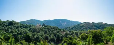 a view of a forest with mountains in the background at Anastasia Country Home in Strovlés