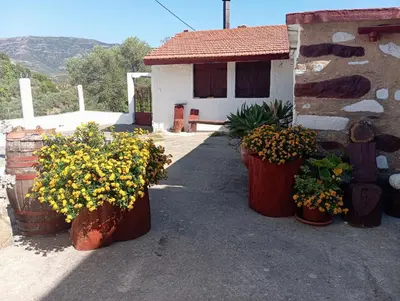 three large pots of flowers in front of a building at Anastasia Country Home in Strovlés