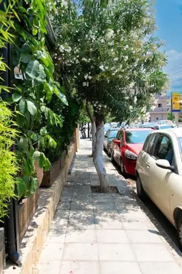 a tree on a sidewalk next to parked cars at Kadiani's Residence by 8essentially in Chania Town