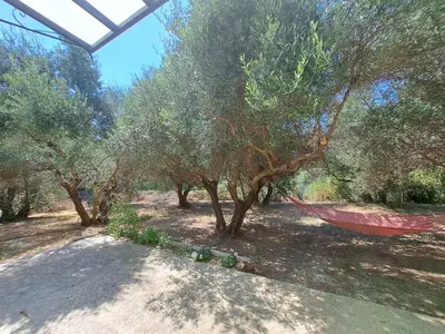 a hammock in the middle of a group of trees at Mavrogenis Farm Chania Crete in Plataniás