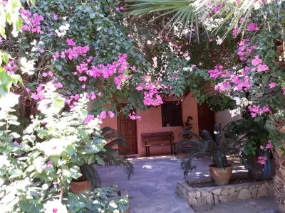 a garden with pink flowers in front of a building at Olive tree Cottages in Palaiochóra