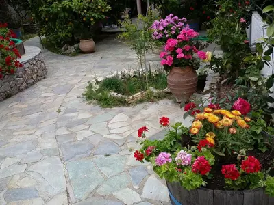 a bunch of flowers in pots on a patio at Olive tree Cottages in Palaiochóra