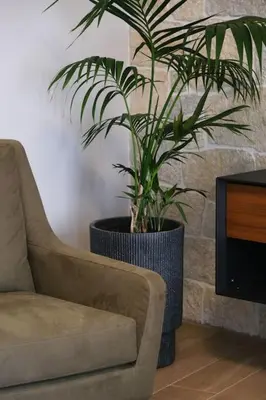 a living room with a chair and a plant at In Heart of Old Town Saint Rocco's Chic Apt in Chania Town