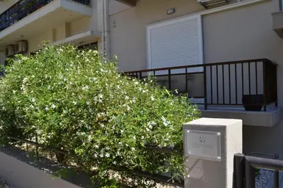 a clock next to a bush in front of a building at JasmineStay - Two bedroom apartments with backyard in Chania Town