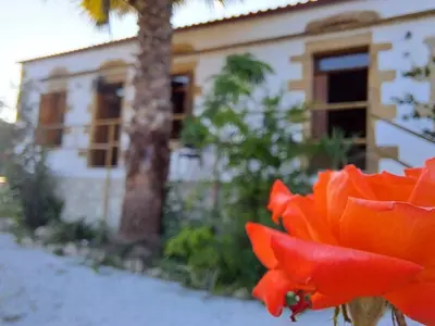 a close up of a red flower in front of a house at Villa Nama in Kissamos