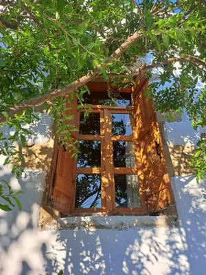 a window in the middle of a tree at Villa Nama in Kissamos