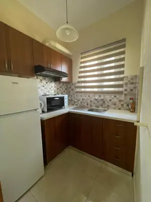 a kitchen with a white refrigerator and a microwave at Anastasia City Home in Chania Town