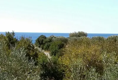 a path through the trees with the ocean in the background at 2bedrooms Cottage 1 in Palaiochóra