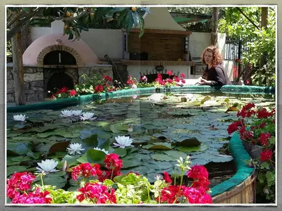 a woman sitting in front of a pond with flowers at 2bedrooms Cottage 1 in Palaiochóra