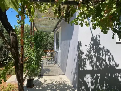 a walkway to the front door of a house with a tree at Vine Veranda in Palaiochóra