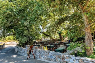 a table and chairs in a park under trees at Argiros House in Chania Town