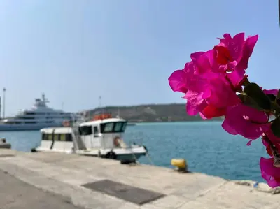 a purple flower next to a dock with a boat at Souda Bay in Souda