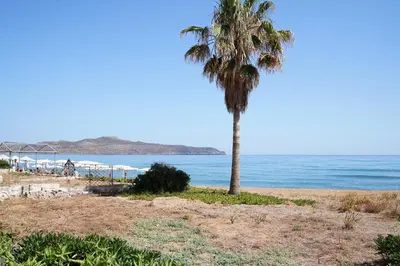 a palm tree on the beach near the water at Kostoula's House Beachfront in Stalos