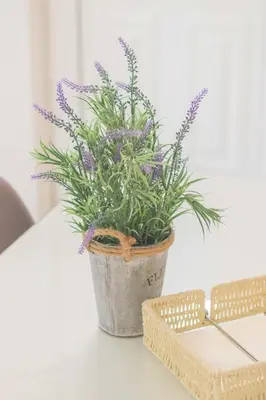 a plant in a bucket sitting on a table at Pasithea apts in Almirida