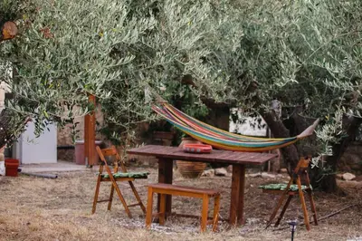 a hammock sitting on a table under a tree at Amygdalia Traditional House in Chania Town