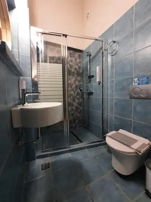 a bathroom with a shower and a sink and a toilet at Almiris Seaside Apartments in Almirida