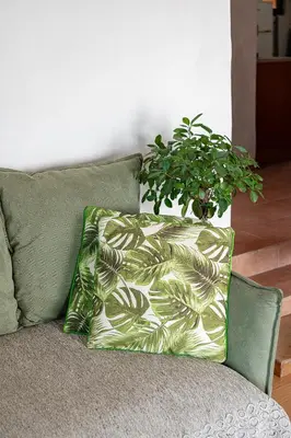 a green couch with a pillow and a potted plant at The Hillside Home in Plataniás