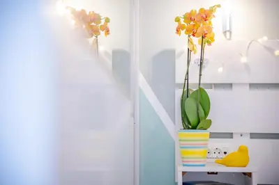 a vase with flowers on a shelf in a room at Oasis by the sea in Chania Town