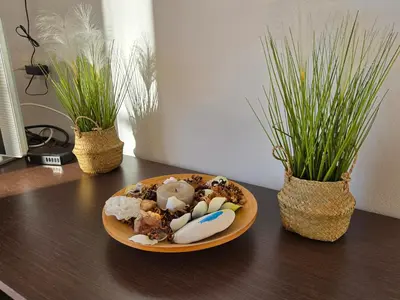 a plate of food on a desk with two potted plants at Nora Apartment in Almyrida in Chania Town