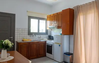 a kitchen with wooden cabinets and a white refrigerator at Anchris Paleochora in Palaiochóra