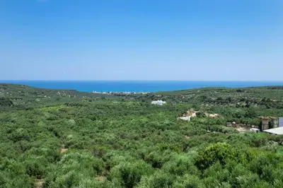 an aerial view of a forest with the ocean in the background at Etheria Villa in Chania Town